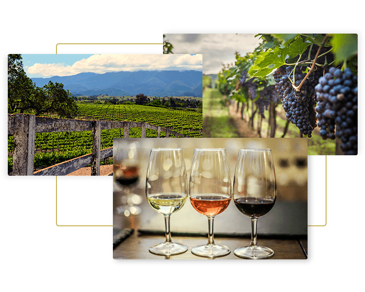 Images of vineyards and wine glasses for Big Jean Transportation limo wines tours for Southern California in luxury Mercedes Sprinter limo vans