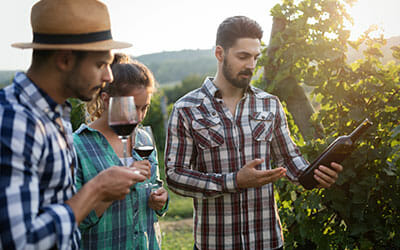 Luxury limo wine tours in spacious custom Mercedes Sprinter limo vans for groups of all sizes in Southern and Central California